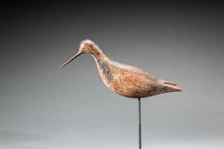 Appraisal: Willet Virginia c An Eastern Shore of Virginia shorebird with