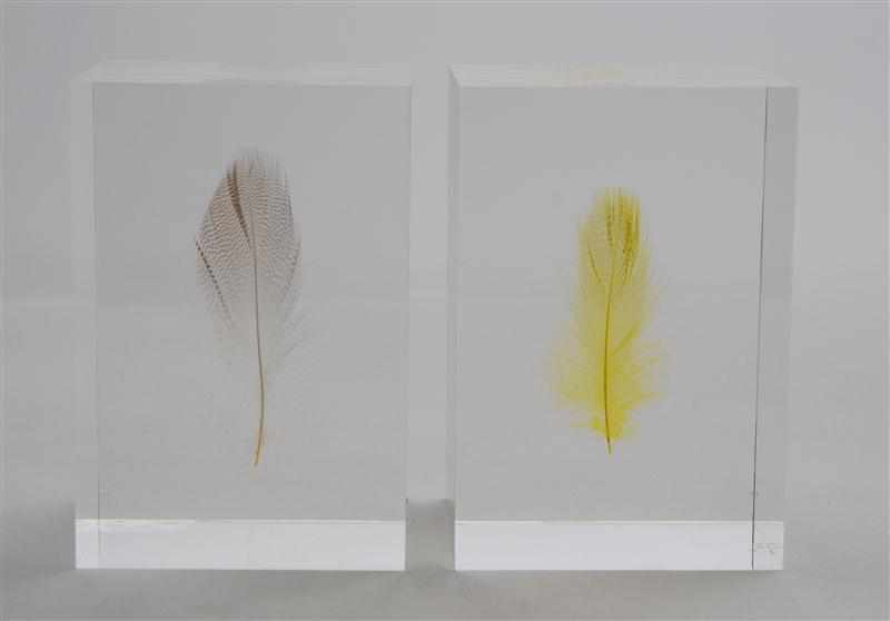 Appraisal: SHIRO KURAMATA TWO FLOATING FEATHERS Two acrylic paperweights with encased