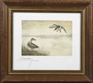 Appraisal: Leon Danchin - French Mallard Coming In th c color