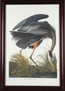 Appraisal: John James Audubon - Great Blue Heron No Plate th