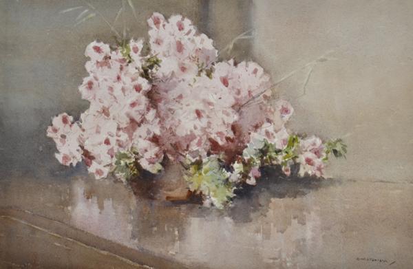 Appraisal: R W STURGESS - Pot of Flowers watercolour R W