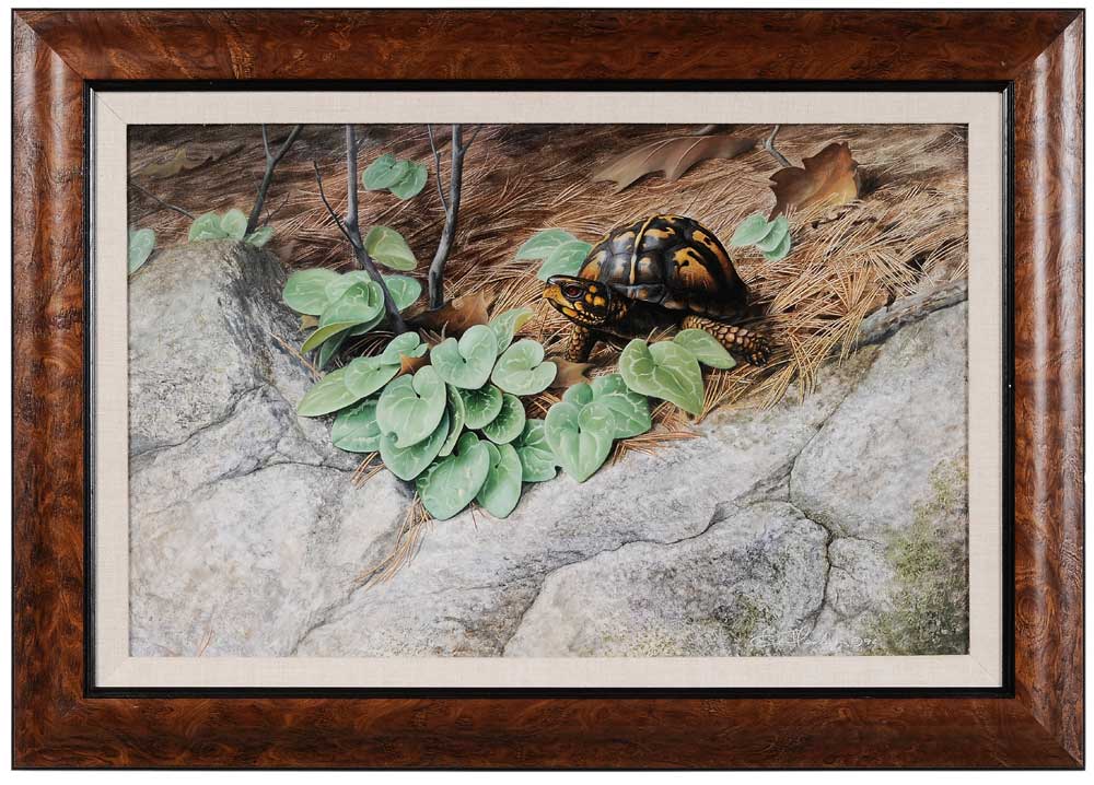 Appraisal: Bob Henley Virginia born Box Turtle in Pine Straw signed