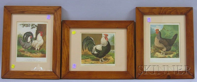 Appraisal: Set of Three Framed Cassell's Poultry Book Chromolithograph Rooster and