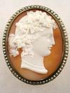 Appraisal: BROOCH - Victorian shell cameo in an oval gold frame