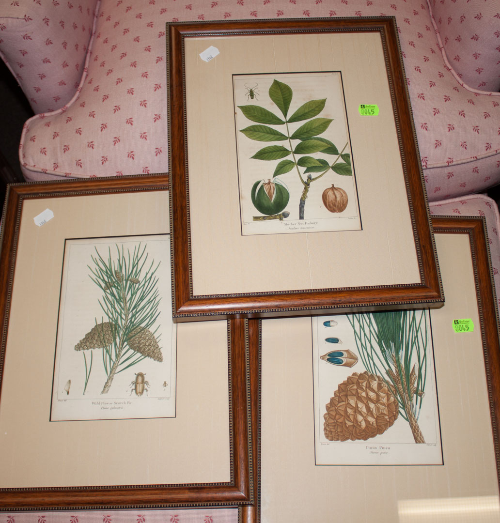 Appraisal: Three framed botanical prints