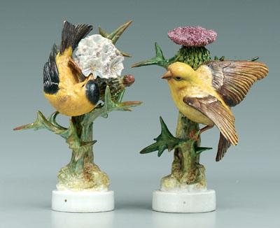 Appraisal: Two Doughty bird figurines goldfinches with thistles both with black