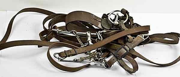 Appraisal: US WWI M- Cavalry Bridle Set M- complete Cavalry bridle