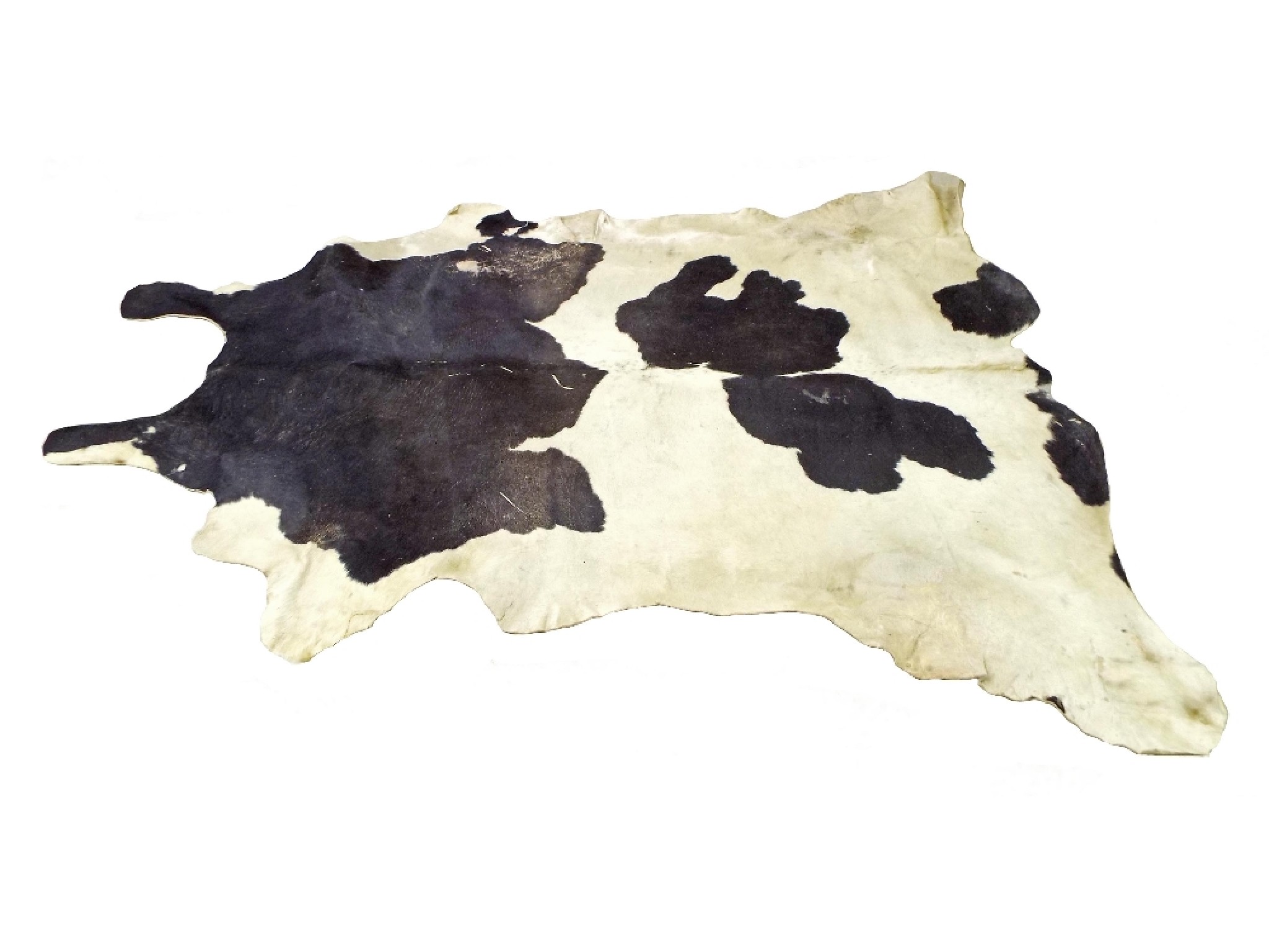 Appraisal: Massive Friesian cow hide rug x