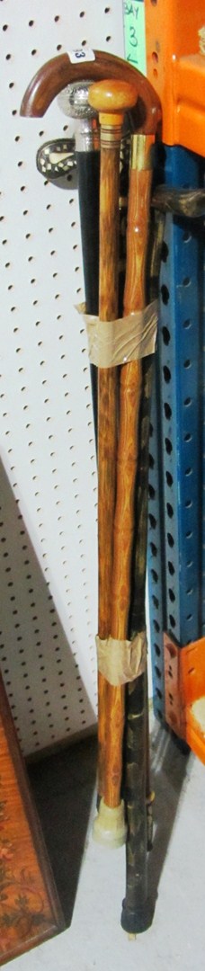 Appraisal: A group of various th century walking sticks