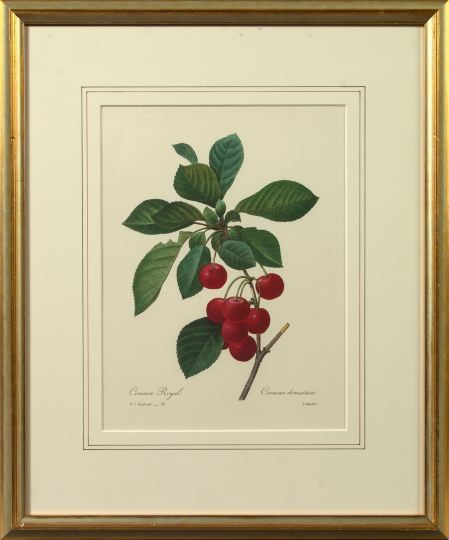 Appraisal: After Pierre Joseph Redoute French - Berries pair of chromolithographs