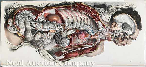 Appraisal: Antique French Medical Prints Jean Baptiste Marc Bourgery - Traite