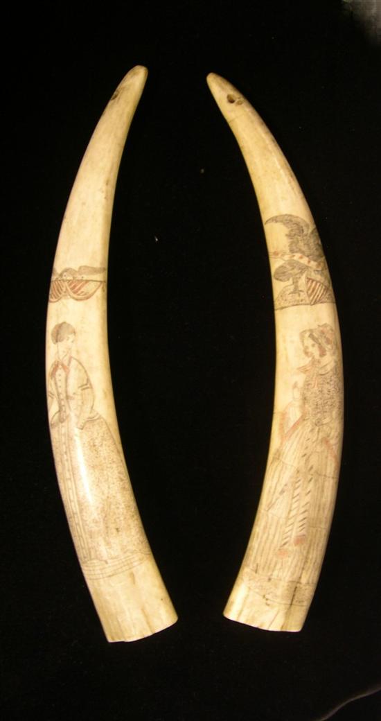 Appraisal: Two similar scrimshaw decorated walrus tusks each with full length