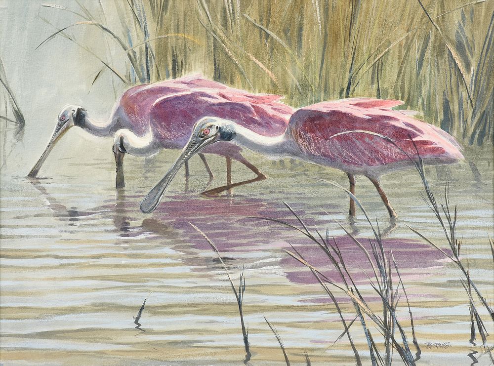 Appraisal: AL BARNES American Texas - A PAINTING Wading Roseate Spoonbills