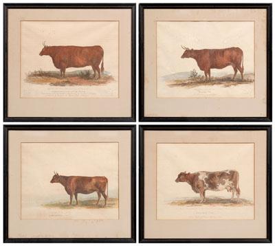 Appraisal: Four George Garrard cow prints British - from A Description