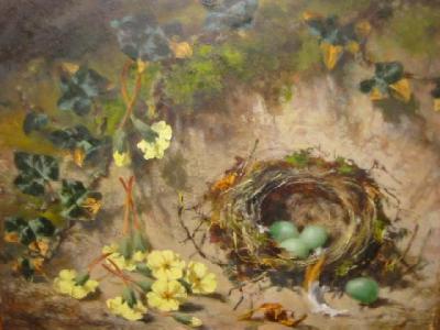 Appraisal: ENGLISH SCHOOL c Still Life with Birds Nest of Primroses