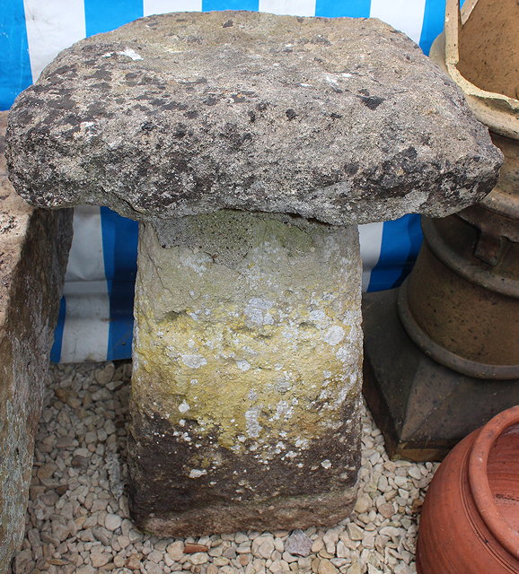 Appraisal: AN ANTIQUE SQUARE TOPPED STADDLE STONE cm high and a