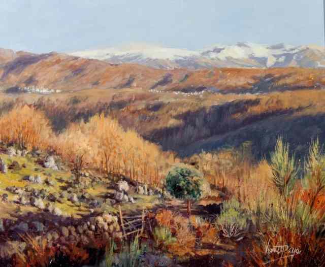 Appraisal: VICENTE PAYA TH CENTURY Mountain view in summer signed lower