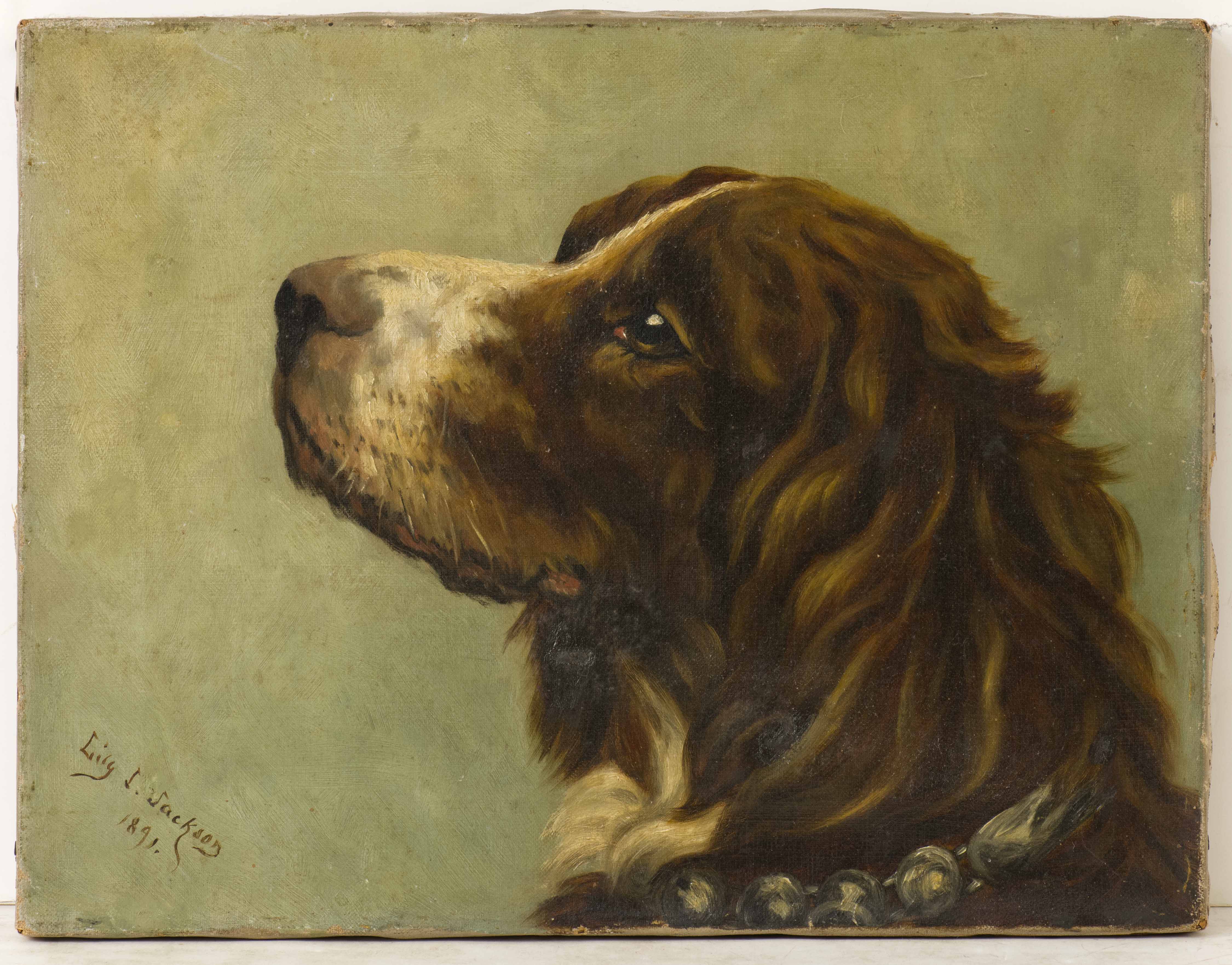 Appraisal: FRAMED BUST PORTRAIT OF A SETTER Signed lower left Lily