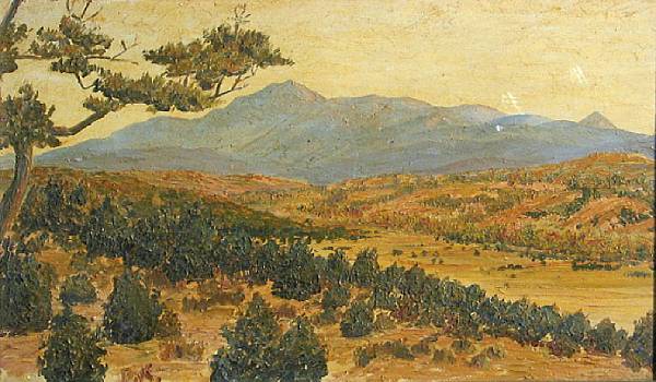 Appraisal: American School th Century Southwest Landscape signed with initials 'D