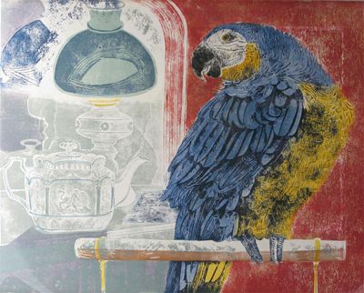 Appraisal: Macaw' a Lithographic print by Sheila Robinson two photographic prints