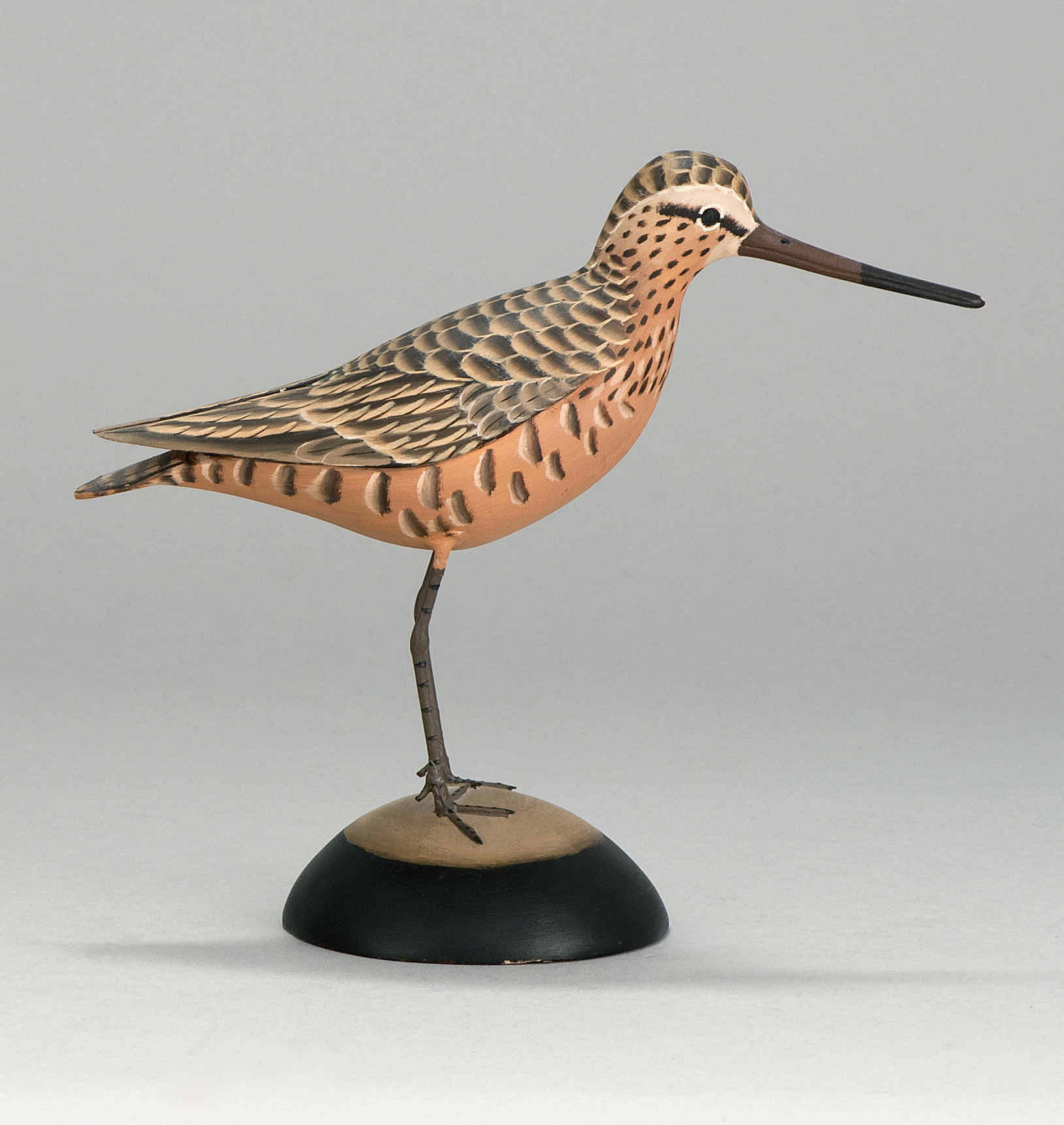 Appraisal: ONE-THIRD SIZE LONG-BILLED DOWITCHER IN SPRING PLUMAGE By James Lapham