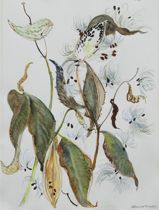 Appraisal: Marion Bryson American th Century Milk Weeds Watercolor on paper