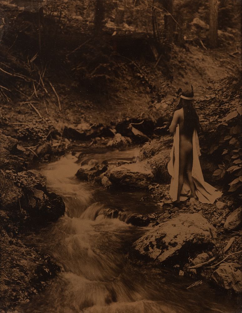 Appraisal: Edward S Curtis Maid of Dreams Edward S Curtis -