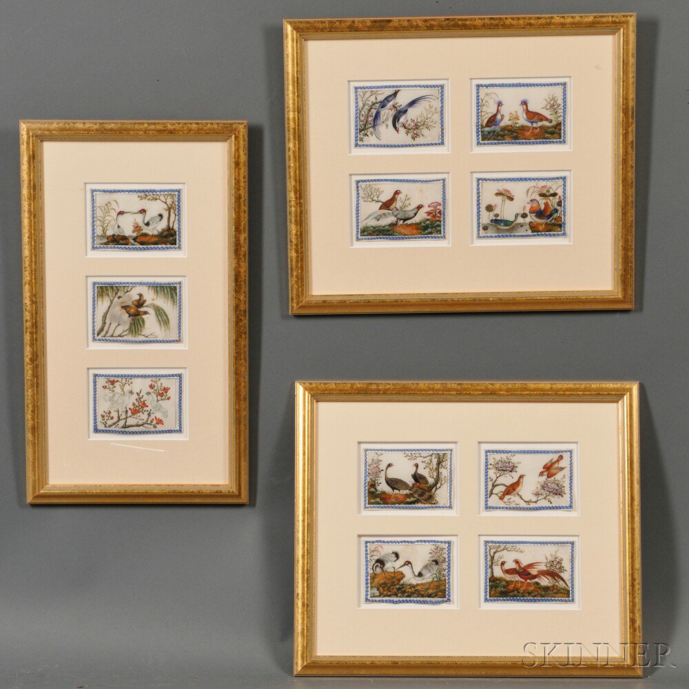 Appraisal: Eleven Ornithological Gouache Paintings in Three Frames China th century