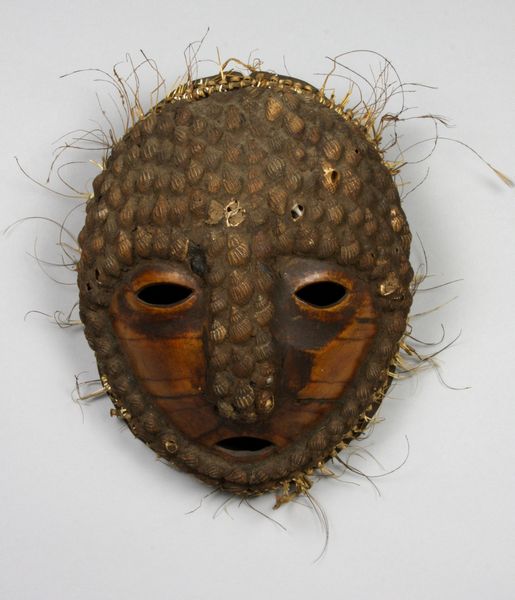 Appraisal: New Guinea turtle mask with applied shells x EST