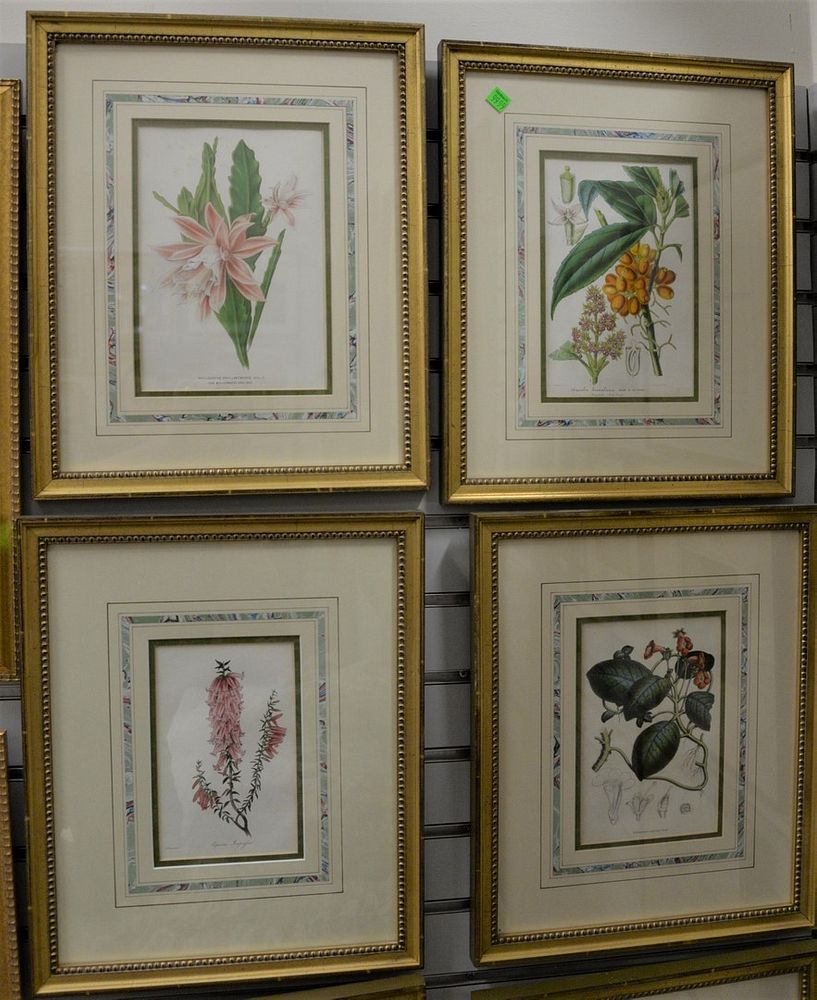 Appraisal: Group of Eleven Framed Botanical Prints to include a pair