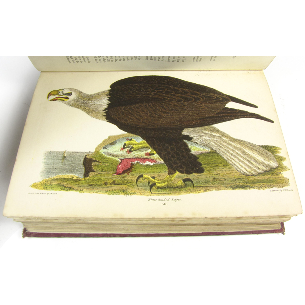 Appraisal: Wilson Alexander American Ornithology London volumes vo chromolithographed plates green