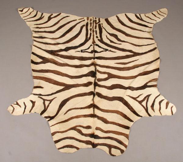 Appraisal: Vintage zebra skin hide rug L x W Please note