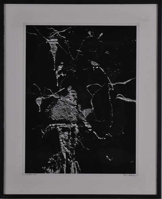 Appraisal: AARON SISKIND - CHICAGO Gelatin silver print x in signed