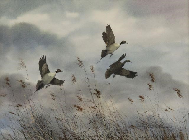 Appraisal: Framed watercolor and gouache painting on paper Ducks in Flight