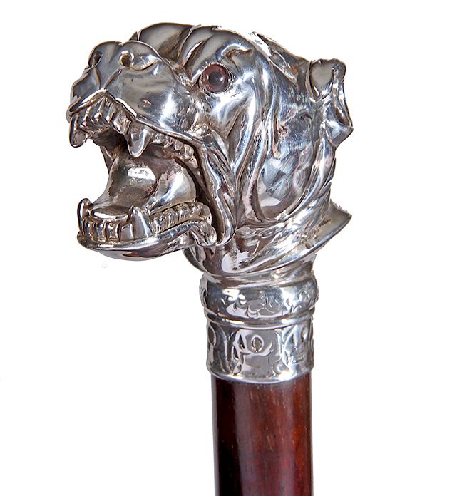 Appraisal: Silver Bulldog Cane Late th Century- A silver bulldog handle