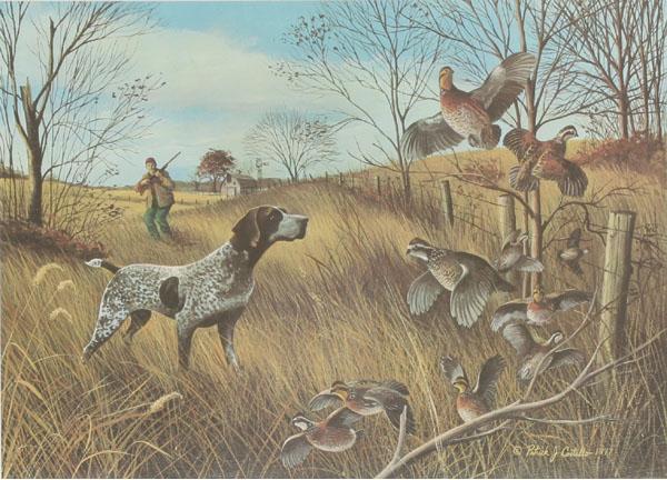 Appraisal: Patrick Costello American b Quail Ridge Iowa artist's action hunting