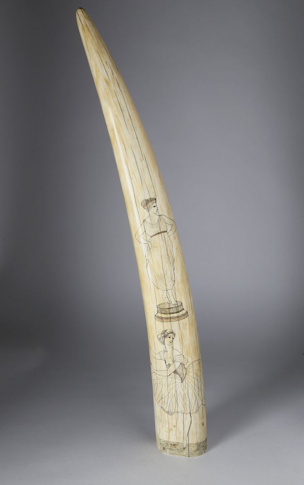 Appraisal: Scrimshaw Walrus Tusk circa Engraved with Ballerina and Classical Greek