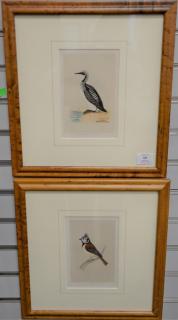 Appraisal: Set of eight hand colored framed bird lithographs by Francis