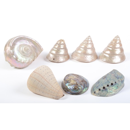 Appraisal: Conchology Four various turbo shells a conch shell and two