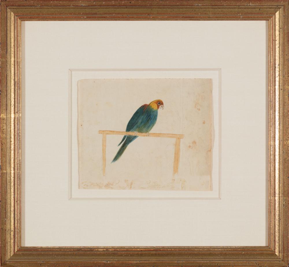 Appraisal: George Washington Sully American Louisiana - Parakete's sic Portrait watercolor