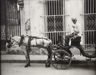 Appraisal: Photograph Walker Evans Walker Evans American - Mule Carriage and