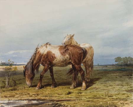 Appraisal: PETR PETROVICH SOKOLOV Two Horses in a Field Watercolor and