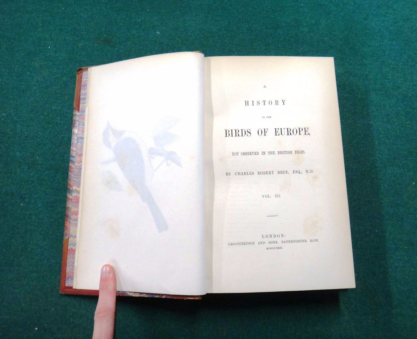 Appraisal: BREE C R A History of the Birds of Europe