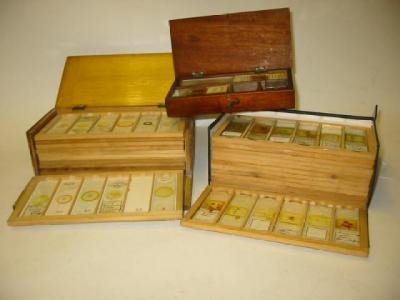 Appraisal: A COLLECTION OF APPROXIMATELY MICROSCOPE SLIDES contained in two specimen