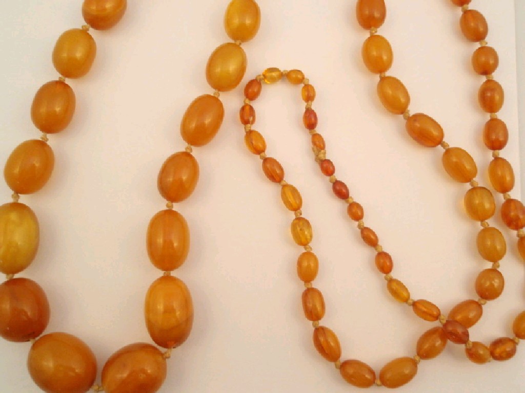 Appraisal: An amber bead necklace graduated cm