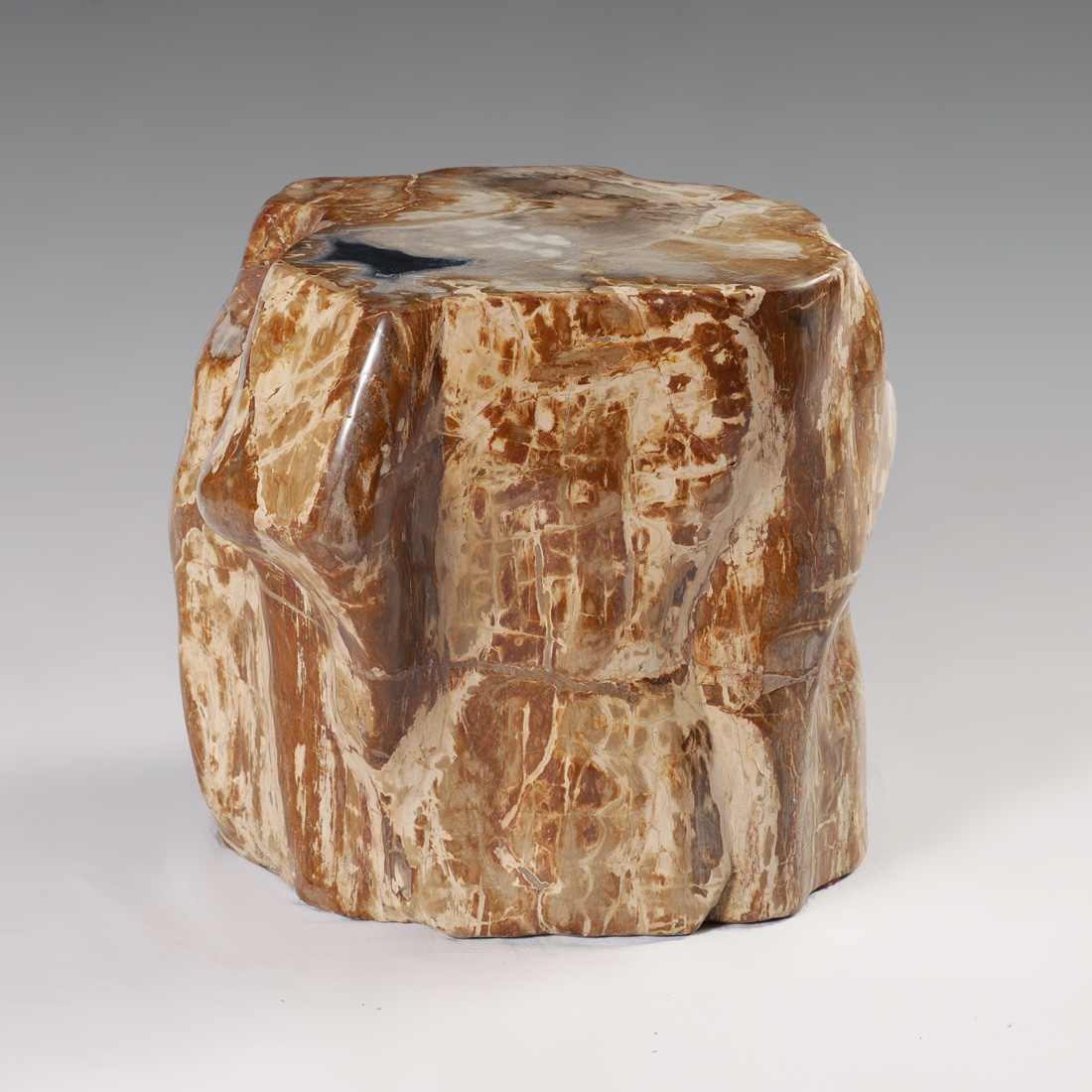 Appraisal: PETRIFIED WOOD STUMP END TABLE STAND Single stump of petrified