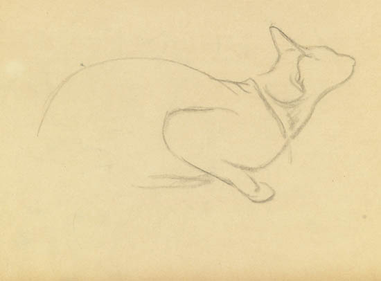 Appraisal: TH OPHILE STEINLEN Etude d'un Chat Pencil on cream wove