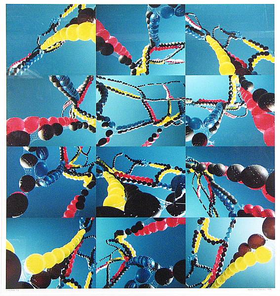 Appraisal: Bill Westheimer DNA RNA Assemblage of cibachrome prints titled signed