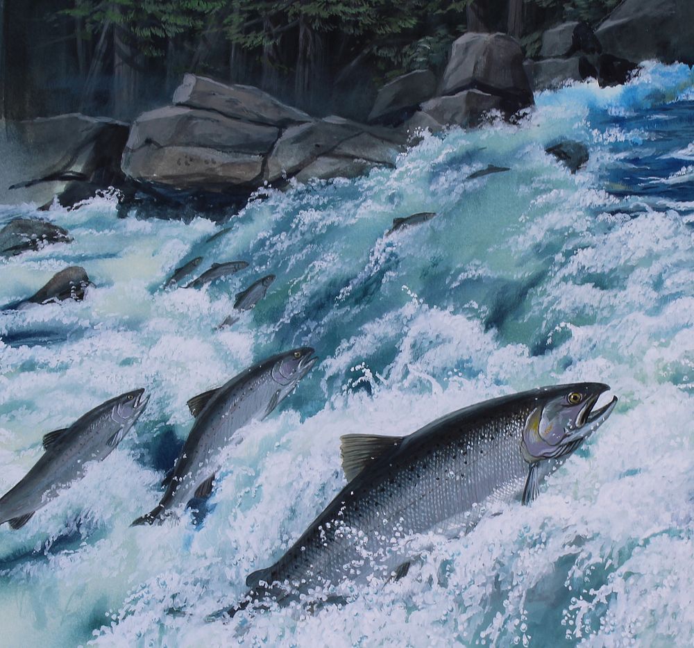 Appraisal: Don Balke B Salmon Don Balke B America's State Fish