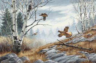 Appraisal: David A Maass b Ruffed Grouse David A Maass b